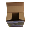 Customize Paper Carton Box Health Care Box Gift Box Power Box for Packing